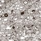 43431930966577470642152859378573699208661757515482065993117537475628424495105