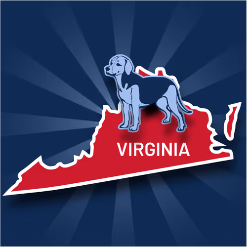 Item #71217782960003599958885984908879655312280558429090599128576275667981344702465 Media