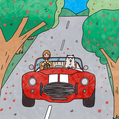 Item #20284360967359268828961151841134395977003393800743176372151090406565055823873 Media