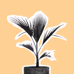 25379124807980713745219244606437574046087384809022650852355167128013586300929