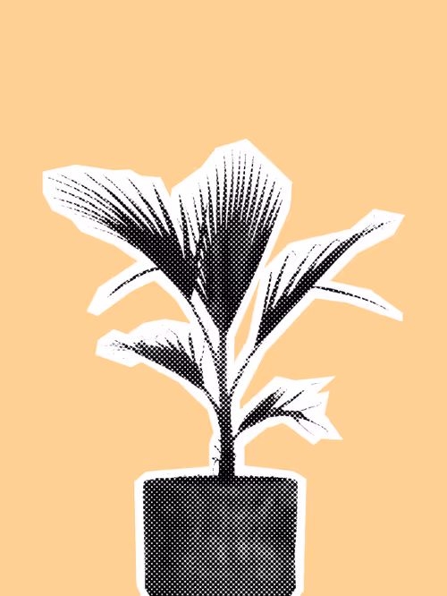 Item #25379124807980713745219244606437574046087384809022650852355167128013586300929 Media