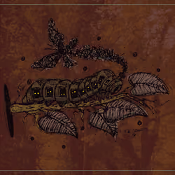 Metamorphosis