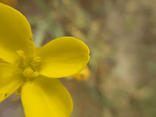 Item #48113757766326972276162939019858943574918231094005000881813397626183464517633 Media