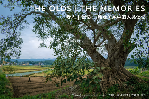 PANDA-Gallery Collection