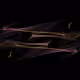 36333751763960841406625086850081703726136436136153219968979520997106611388417