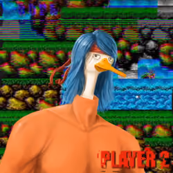 Contra Duck