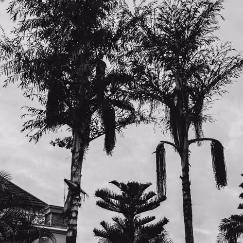 MAITAMA 1