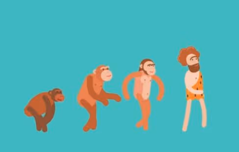 madenorringa Collection