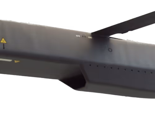 Untitled Collection #4283446854