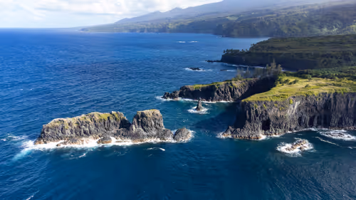 Item #38069088421557280780080489884356511775313840977413642295707171774257275338753 Media