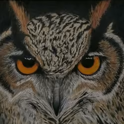 owlNFT