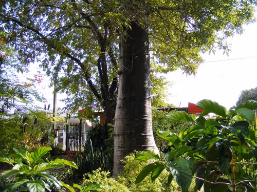 Item #79891436161549541429884862344900251113171213125295126698961100631770056884225 Media