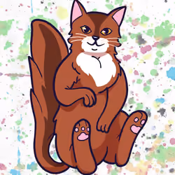 Seed Cat #27