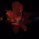 64188903656192306282920814013691723294821420782346093850945489901602159460353