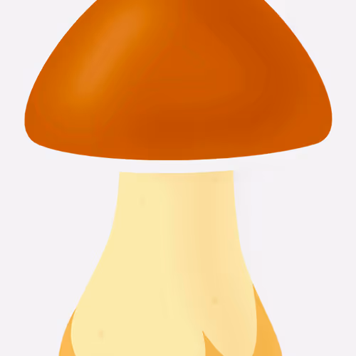 Untitled Collection #37477108