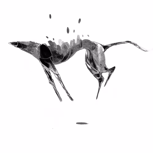 Item #57051197603511375811074081412855917295594875392273030640747770504547460448257 Media