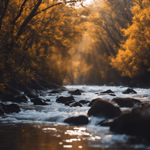 Item #91977908617536194671408598769345883079998051580936901622848686373997884997633 Media