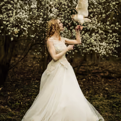 Owl Queen 6