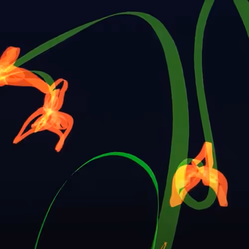 51472236781459235570045969823954325022147772359930512505025861071278169915393