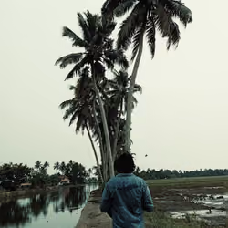 Stop and Reflect