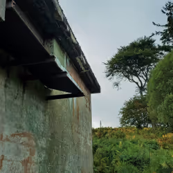 13473500973687785898796463285955460631407349614781281766798596471722505928705