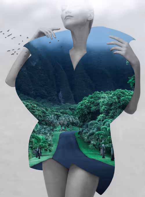 Item #56237005650679827208422272941338028549111287741661461515168449848879169404933 Media