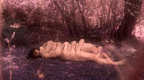 Item #27037863162219595274106965328796201644236451492369191694628585670507885494273 Media