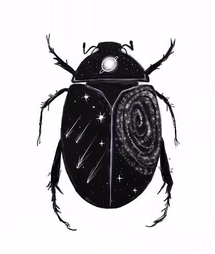 68982312092038325108461803030057075878285591957393918966254143723637869379585