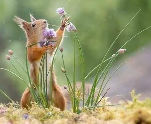 Untitled Collection #201521881