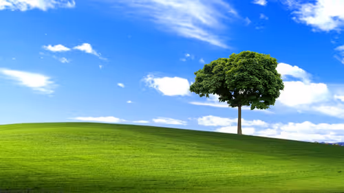 Item #7702433320942241512234636627346318642930294067068155389301698041587196493825 Media