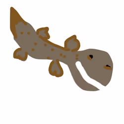 Giant Salamander