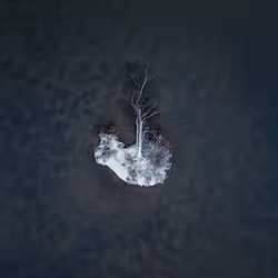 100600280271040798317723628260513137156606623100883316454227272235418896039937