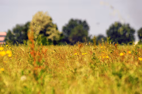 Item #44024487065254451978341284796523308956461514990321328857199441191504298639361 Media