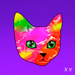 XXCAT V001C