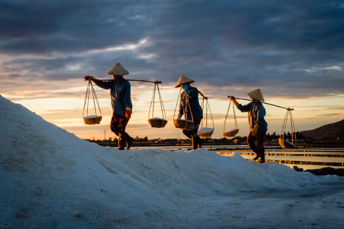 Item #44380994338133063636427405274069008736849147253072084515634940304110420754433 Media