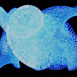 45731211464929816441170859700976373292149702980452148839612469057860237524993