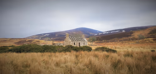 Item #13473500973687785898796463285955460631407349614781281766798596458528366395393 Media