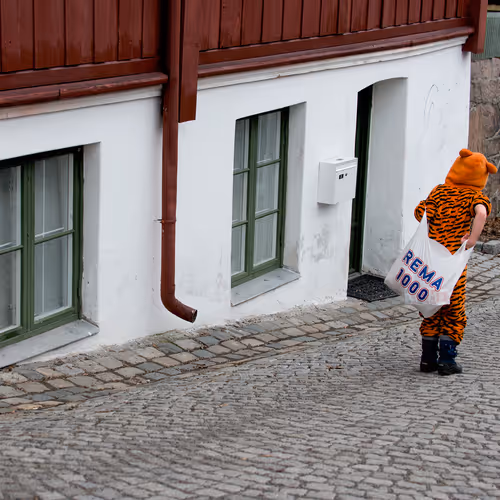 Getting groceries with a tiger. 