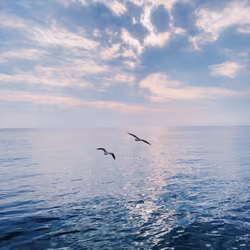 Tranquility