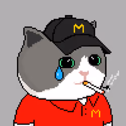 104919872742152227807235166418500170476562355609761586582247810000943025487873