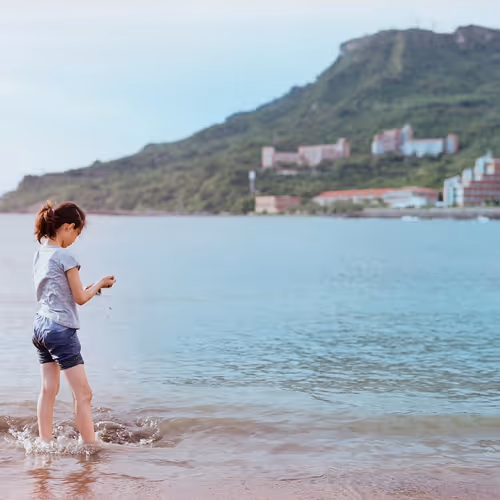 Edaen Collection - old