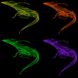 DragonCollection