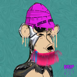 bearded ape yacht club remix 5