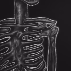 Barebones Dark