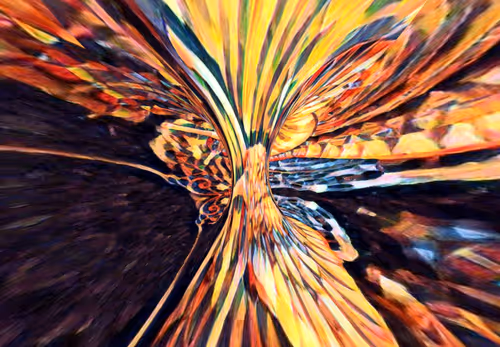 Item #109471203920939043635820920116395936685990389756447863820850984736835655172097 Media