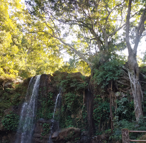 Item #19639212866637923491266492743518133241899401162345393254248405560548887887873 Media