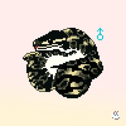 89685544351134784796111577688974543226895989964253757234668744490113665335297