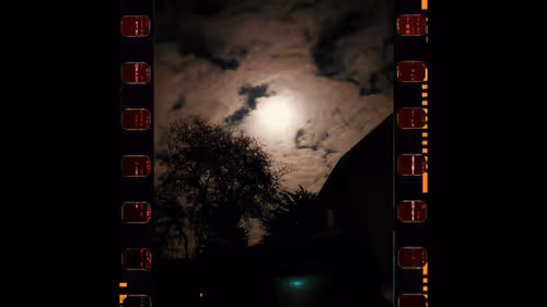 Item #20631005981418890849151392091298022126321931172465184226287799320397683359745 Media