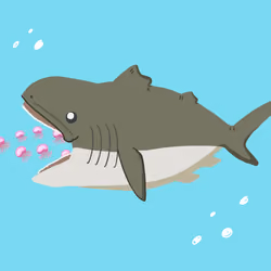 Mega Mouth Shark #4