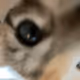 62158759281438552359693376381049627825024546541274926817504401492963152101377